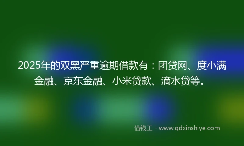 2025年的双黑严重逾期借款有：团贷网、度小满金融、京东金融、小米贷款、滴水贷等。