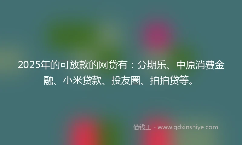 2025年的可放款的网贷有：分期乐、中原消费金融、小米贷款、投友圈、拍拍贷等。