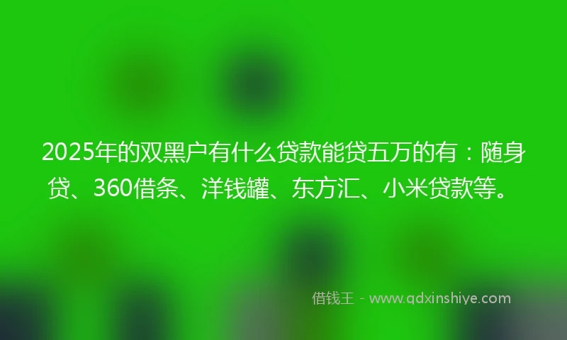 2025年的双黑户有什么贷款能贷五万的有：随身贷、360借条、洋钱罐、东方汇、小米贷款等。