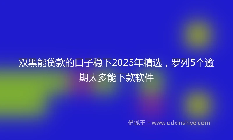 双黑能贷款的口子稳下2025年精选，罗列5个逾期太多能下款软件