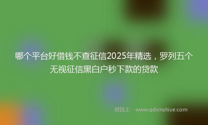 哪个平台好借钱不查征信2025年精选，罗列五个无视征信黑白户秒下款的贷款