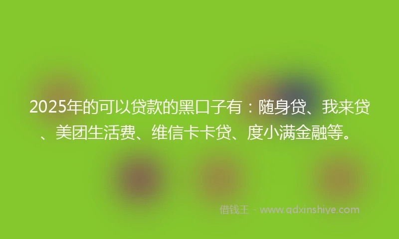 2025年的可以贷款的黑口子有：随身贷、我来贷、美团生活费、维信卡卡贷、度小满金融等。