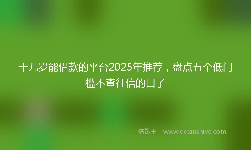 十九岁能借款的平台2025年推荐，盘点五个低门槛不查征信的口子