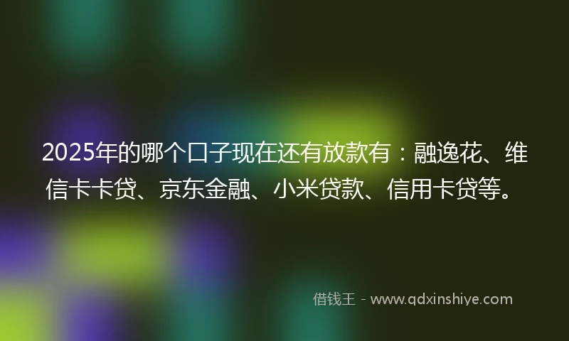 2025年的哪个口子现在还有放款有：融逸花、维信卡卡贷、京东金融、小米贷款、信用卡贷等。
