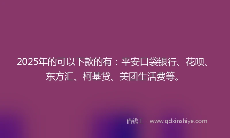 2025年的可以下款的有：平安口袋银行、花呗、东方汇、柯基贷、美团生活费等。