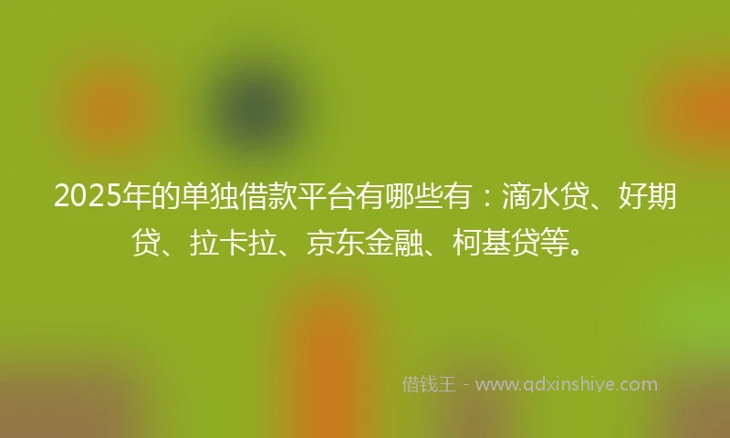 2025年的单独借款平台有哪些有：滴水贷、好期贷、拉卡拉、京东金融、柯基贷等。