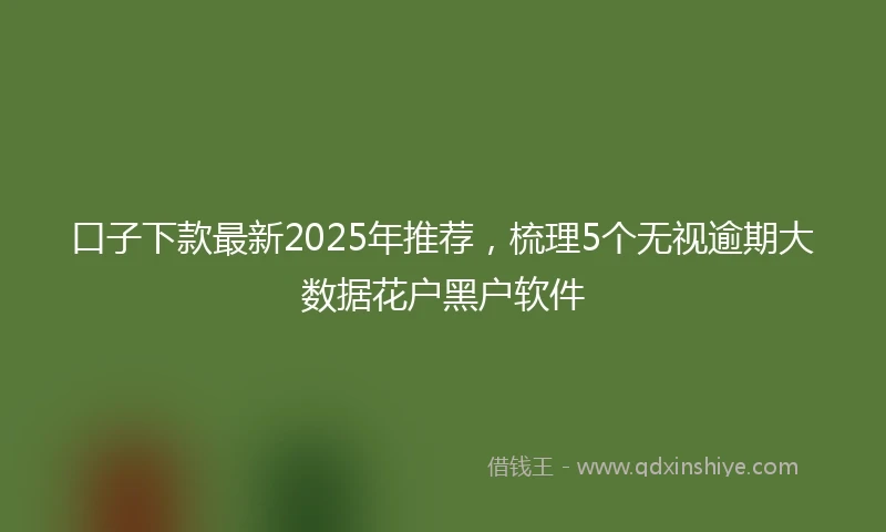 口子下款最新2025年推荐，梳理5个无视逾期大数据花户黑户软件