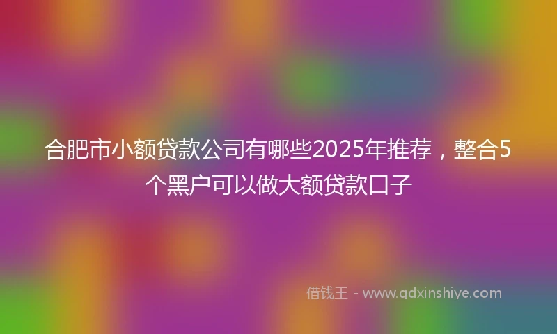 合肥市小额贷款公司有哪些2025年推荐，整合5个黑户可以做大额贷款口子