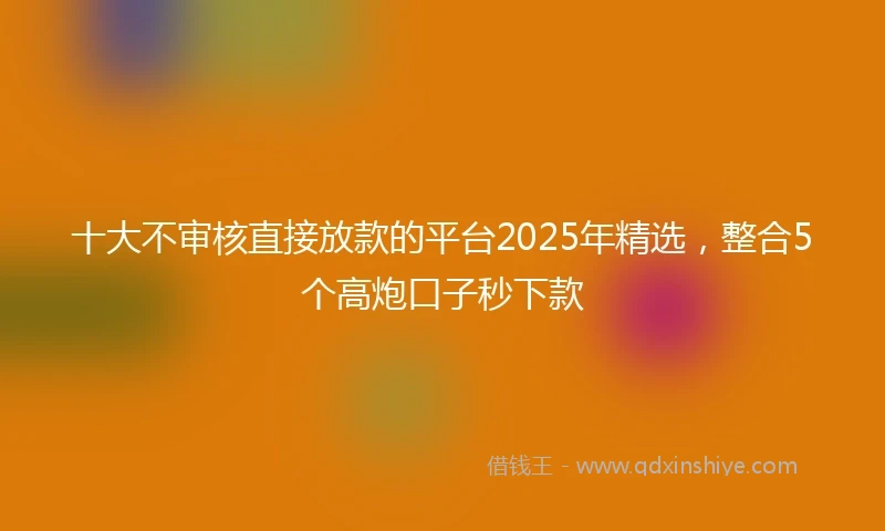 十大不审核直接放款的平台2025年精选，整合5个高炮口子秒下款