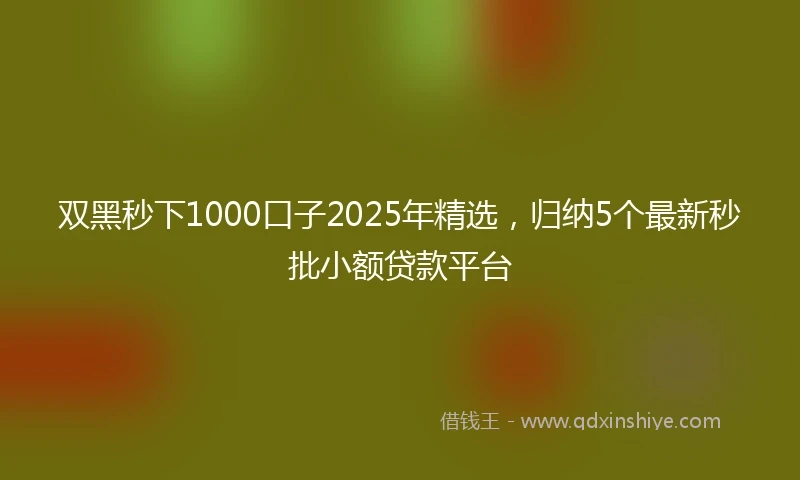 双黑秒下1000口子2025年精选，归纳5个最新秒批小额贷款平台