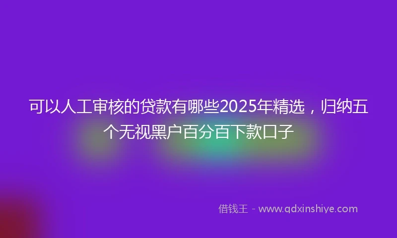 可以人工审核的贷款有哪些2025年精选，归纳五个无视黑户百分百下款口子