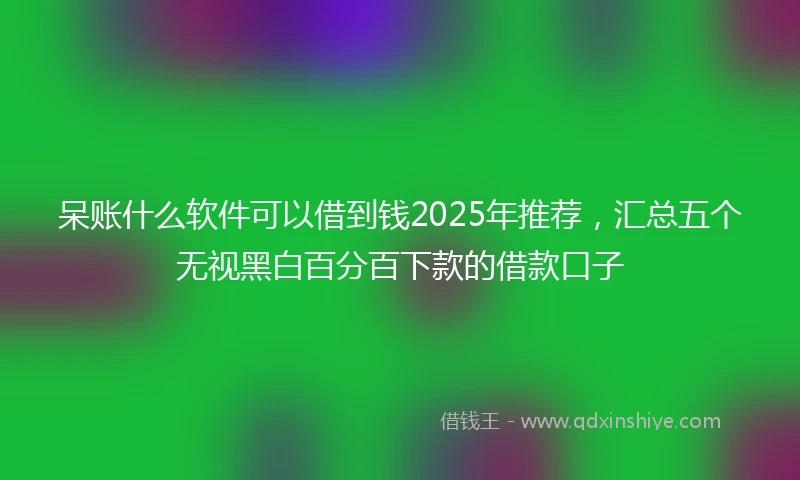 呆账什么软件可以借到钱2025年推荐，汇总五个无视黑白百分百下款的借款口子
