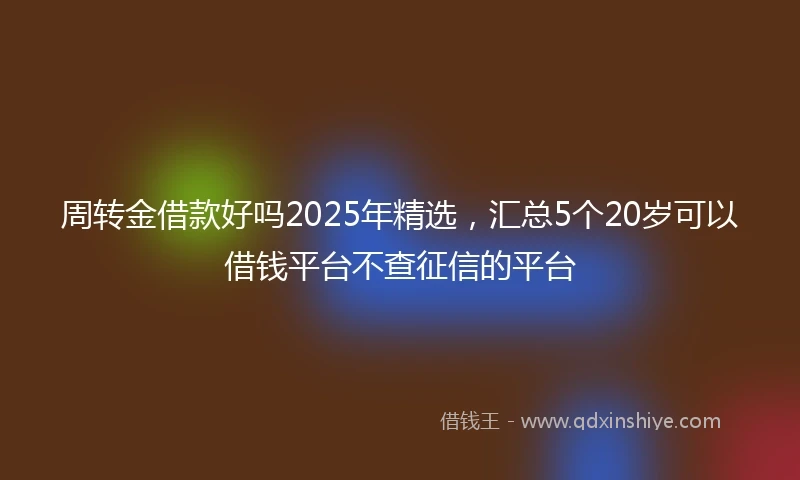 周转金借款好吗2025年精选，汇总5个20岁可以借钱平台不查征信的平台