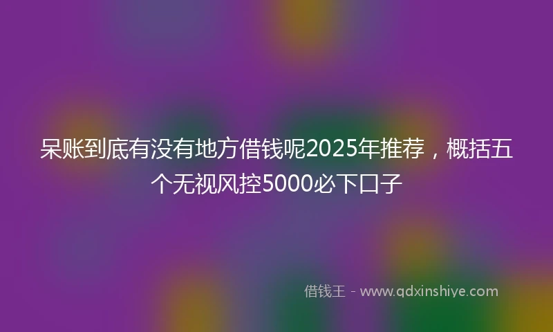 呆账到底有没有地方借钱呢2025年推荐，概括五个无视风控5000必下口子