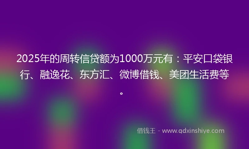 2025年的周转信贷额为1000万元有：平安口袋银行、融逸花、东方汇、微博借钱、美团生活费等。
