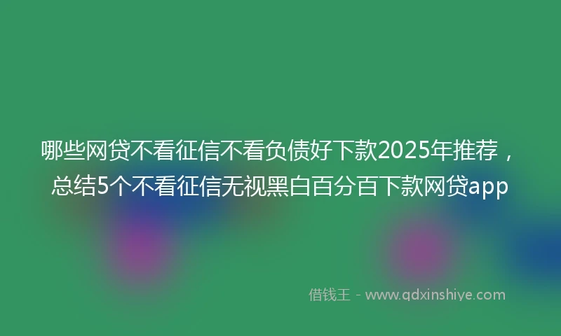 哪些网贷不看征信不看负债好下款2025年推荐，总结5个不看征信无视黑白百分百下款网贷app