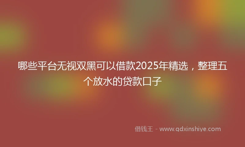 哪些平台无视双黑可以借款2025年精选，整理五个放水的贷款口子