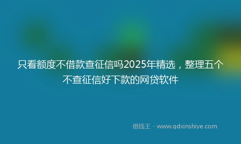 只看额度不借款查征信吗2025年精选，整理五个不查征信好下款的网贷软件