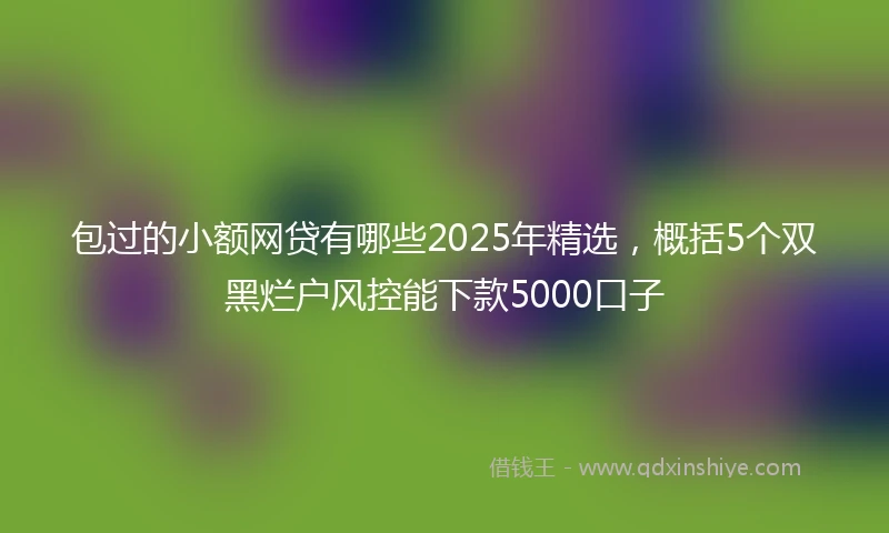 包过的小额网贷有哪些2025年精选，概括5个双黑烂户风控能下款5000口子