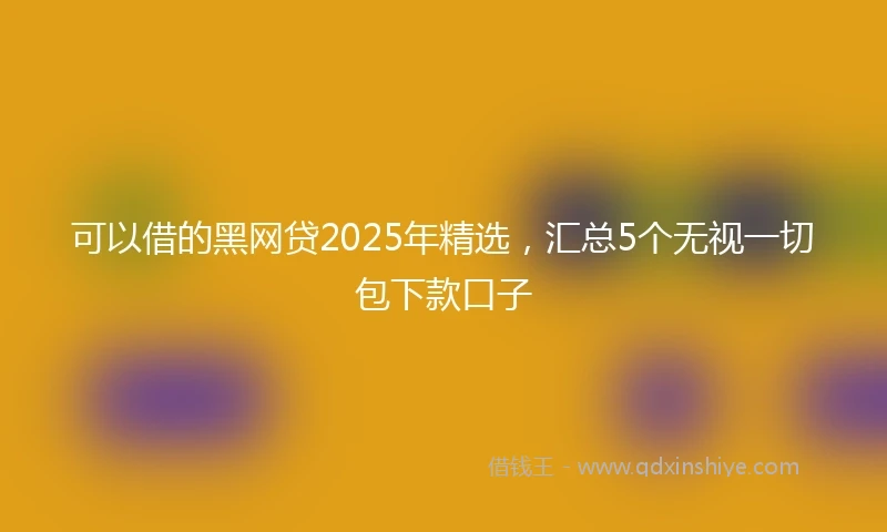 可以借的黑网贷2025年精选，汇总5个无视一切包下款口子