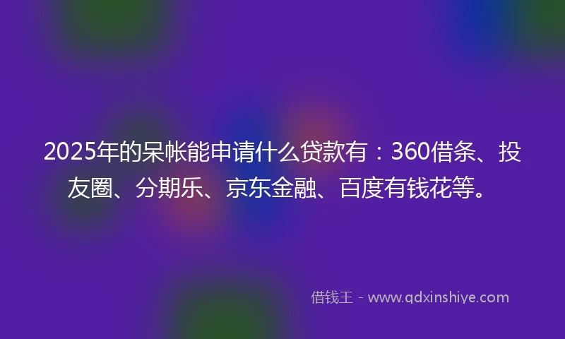 2025年的呆帐能申请什么贷款有：360借条、投友圈、分期乐、京东金融、百度有钱花等。
