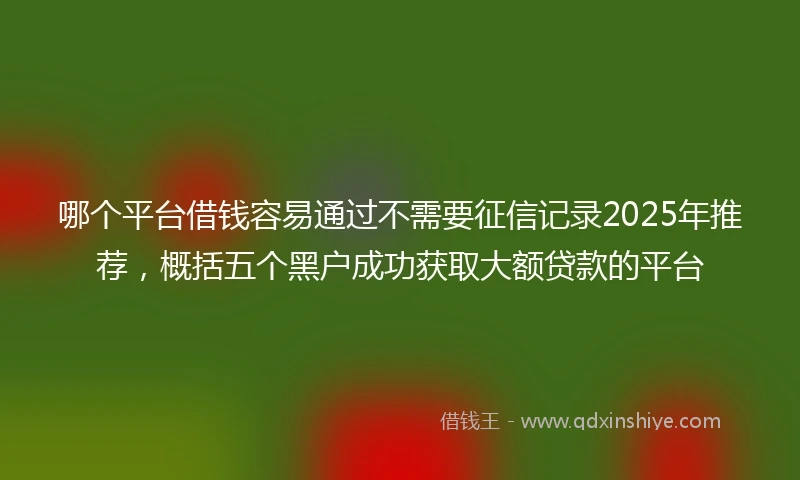 哪个平台借钱容易通过不需要征信记录2025年推荐，概括五个黑户成功获取大额贷款的平台