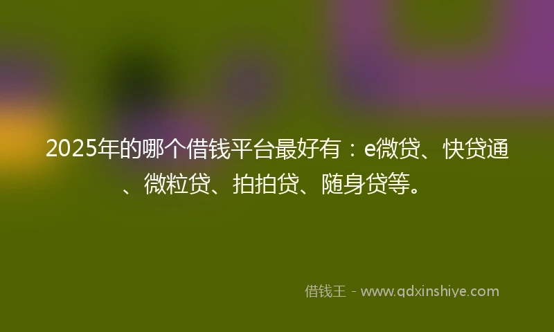 2025年的哪个借钱平台最好有：e微贷、快贷通、微粒贷、拍拍贷、随身贷等。