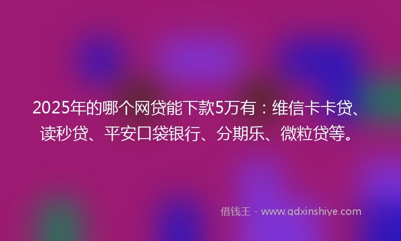 2025年的哪个网贷能下款5万有：维信卡卡贷、读秒贷、平安口袋银行、分期乐、微粒贷等。