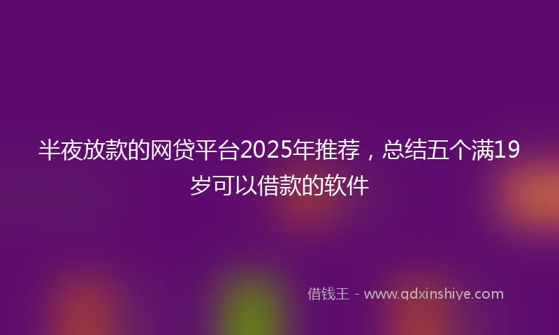 半夜放款的网贷平台2025年推荐，总结五个满19岁可以借款的软件