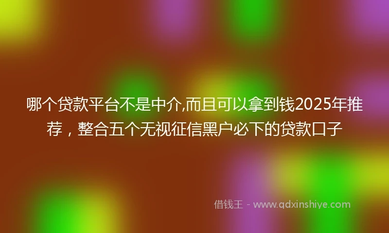 哪个贷款平台不是中介,而且可以拿到钱2025年推荐，整合五个无视征信黑户必下的贷款口子