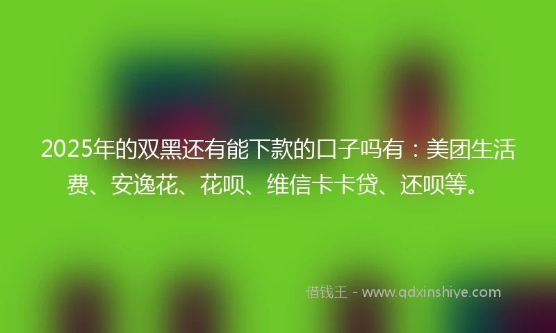 2025年的双黑还有能下款的口子吗有：美团生活费、安逸花、花呗、维信卡卡贷、还呗等。