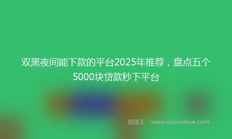 双黑夜间能下款的平台2025年推荐，盘点五个5000块贷款秒下平台