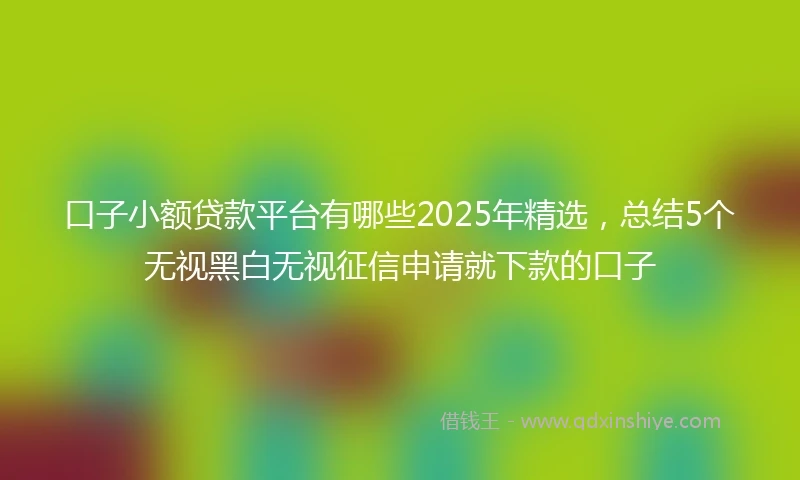 口子小额贷款平台有哪些2025年精选,总结5个无视黑白无视征信申请就下款的口子