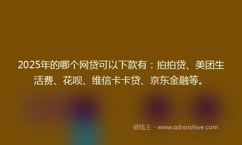 2025年的哪个网贷可以下款有：拍拍贷、美团生活费、花呗、维信卡卡贷、京东金融等。
