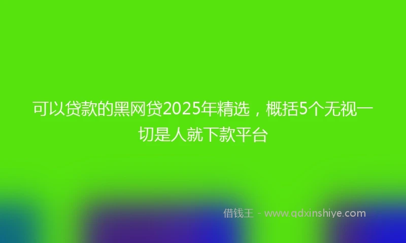 可以贷款的黑网贷2025年精选，概括5个无视一切是人就下款平台