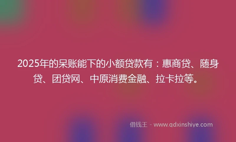 2025年的呆账能下的小额贷款有：惠商贷、随身贷、团贷网、中原消费金融、拉卡拉等。