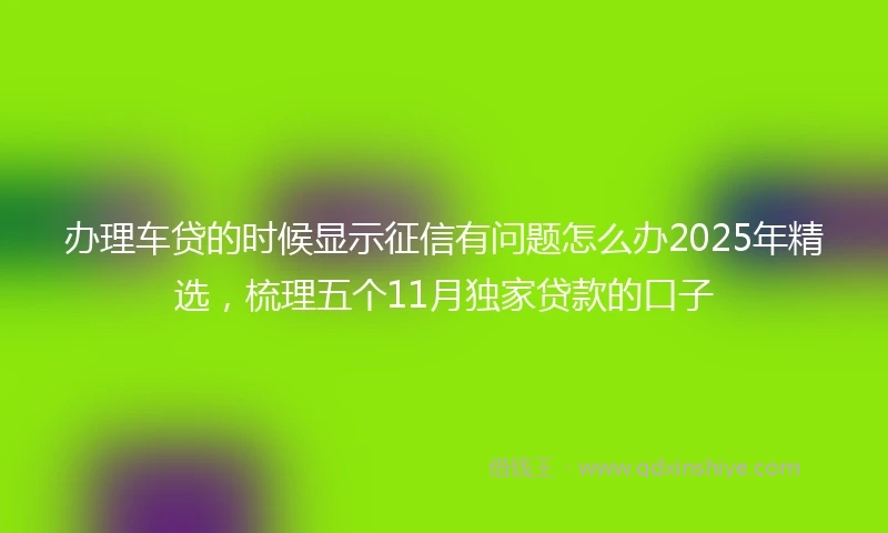 办理车贷的时候显示征信有问题怎么办2025年精选，梳理五个11月独家贷款的口子
