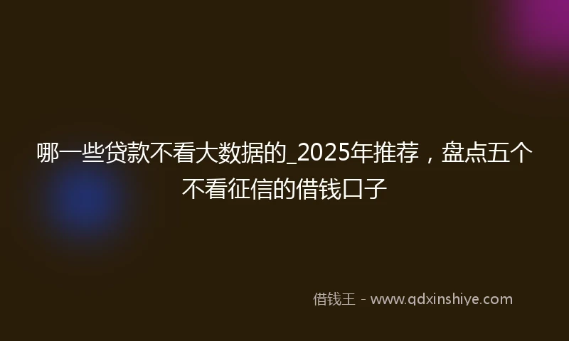 哪一些贷款不看大数据的_2025年推荐，盘点五个不看征信的借钱口子