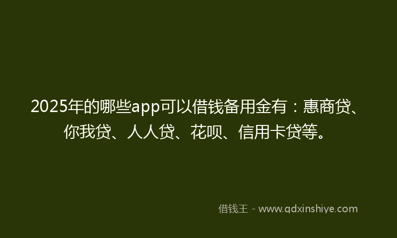 2025年的哪些app可以借钱备用金有：惠商贷、你我贷、人人贷、花呗、信用卡贷等。