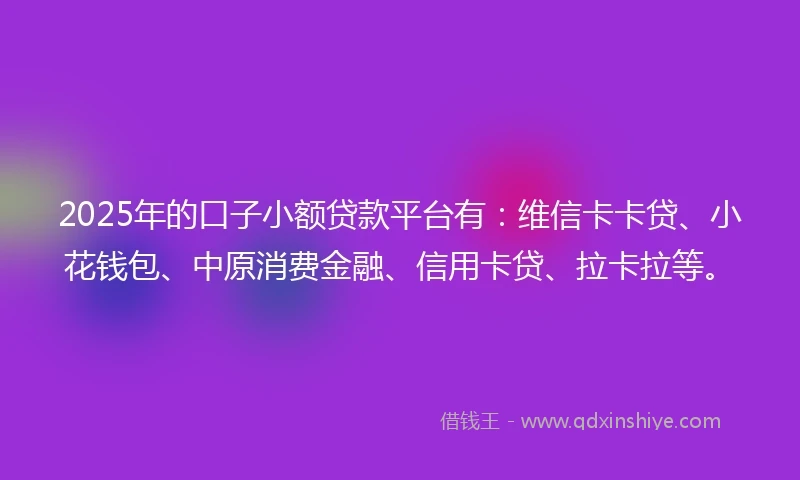 2025年的口子小额贷款平台有:维信卡卡贷、小花钱包、中原消费金融、信用卡贷、拉卡拉等。