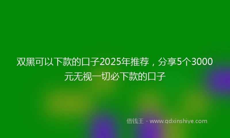 双黑可以下款的口子2025年推荐，分享5个3000元无视一切必下款的口子