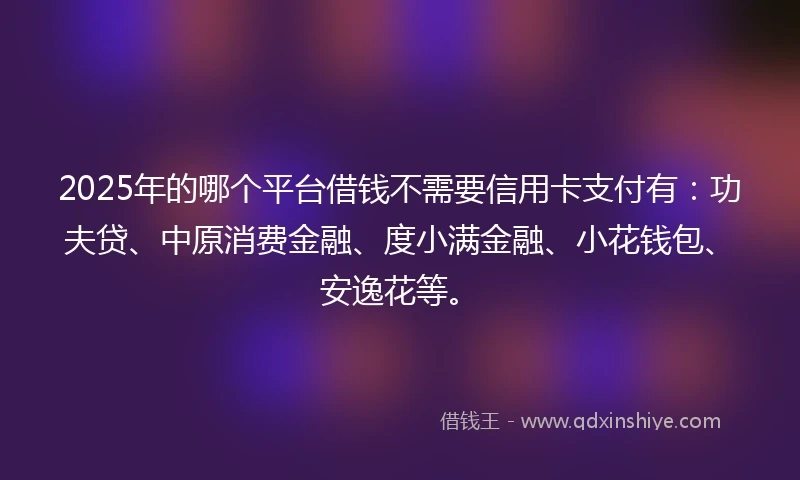 2025年的哪个平台借钱不需要信用卡支付有：功夫贷、中原消费金融、度小满金融、小花钱包、安逸花等。