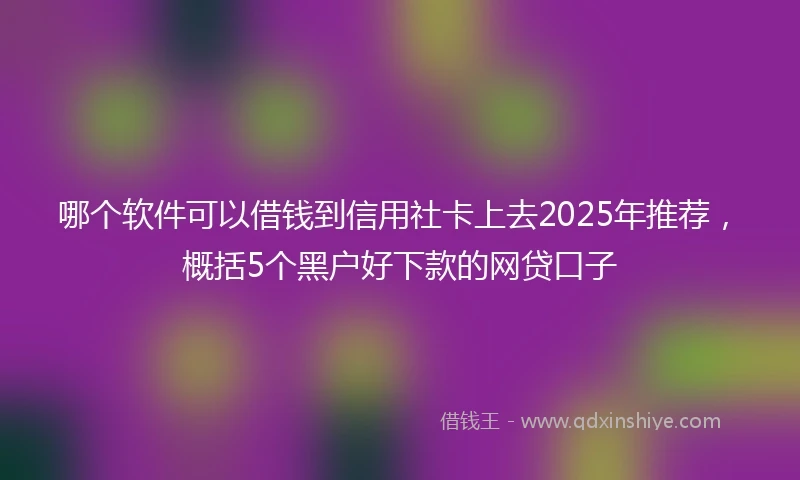 哪个软件可以借钱到信用社卡上去2025年推荐，概括5个黑户好下款的网贷口子