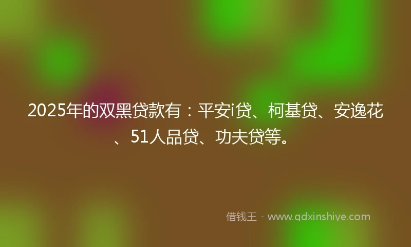 2025年的双黑贷款有：平安i贷、柯基贷、安逸花、51人品贷、功夫贷等。