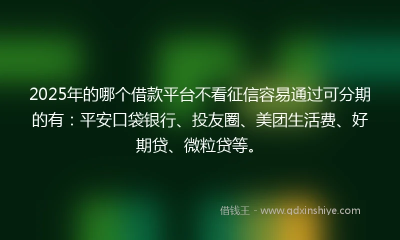 2025年的哪个借款平台不看征信容易通过可分期的有：平安口袋银行、投友圈、美团生活费、好期贷、微粒贷等。