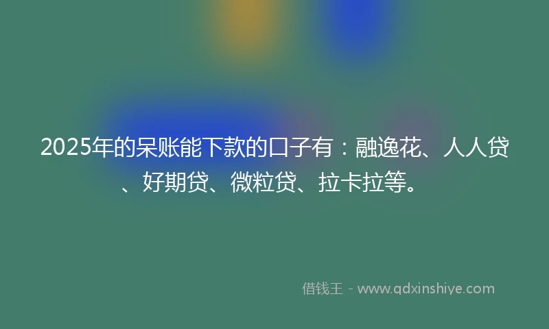 2025年的呆账能下款的口子有：融逸花、人人贷、好期贷、微粒贷、拉卡拉等。