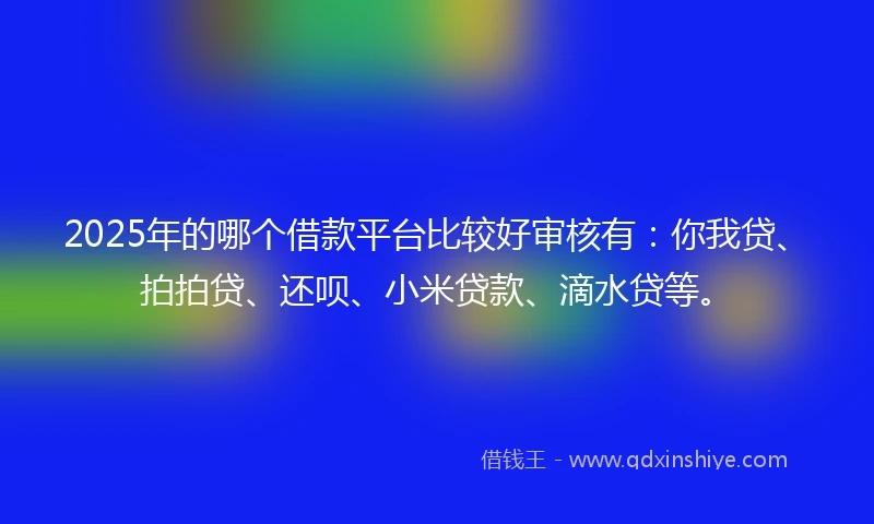 2025年的哪个借款平台比较好审核有：你我贷、拍拍贷、还呗、小米贷款、滴水贷等。