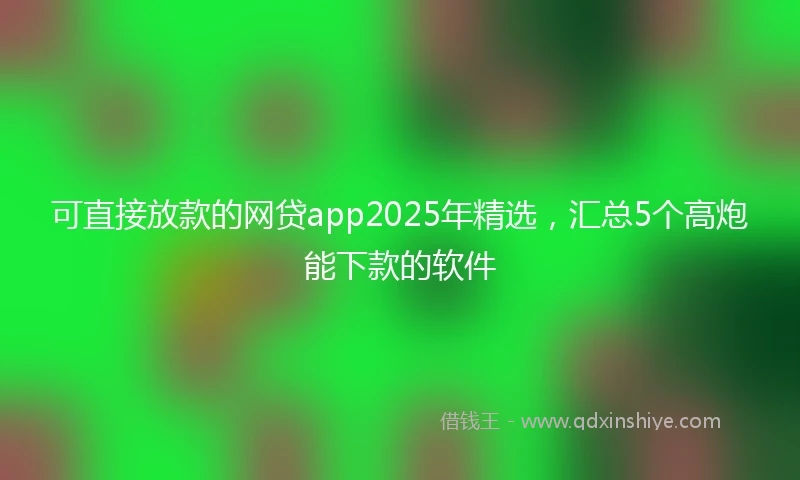 可直接放款的网贷app2025年精选，汇总5个高炮能下款的软件