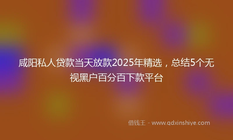 咸阳私人贷款当天放款2025年精选，总结5个无视黑户百分百下款平台