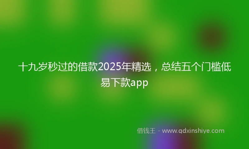 十九岁秒过的借款2025年精选，总结五个门槛低易下款app